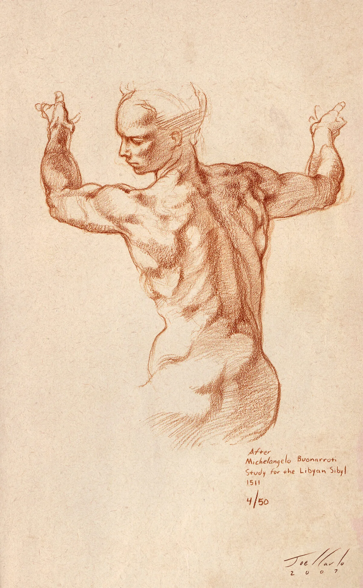 Anatomy Lesson Series Torsos