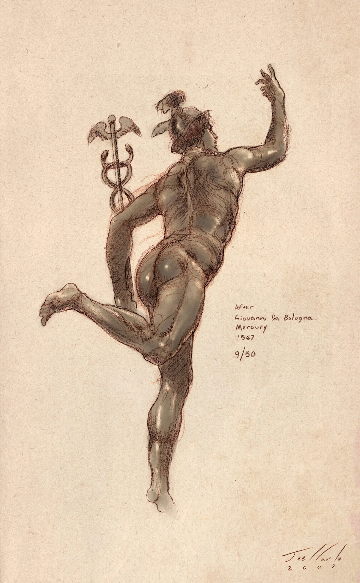 Anatomy Lesson Series Torsos
